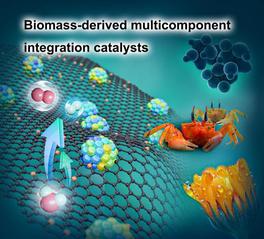 Biomass-derived...